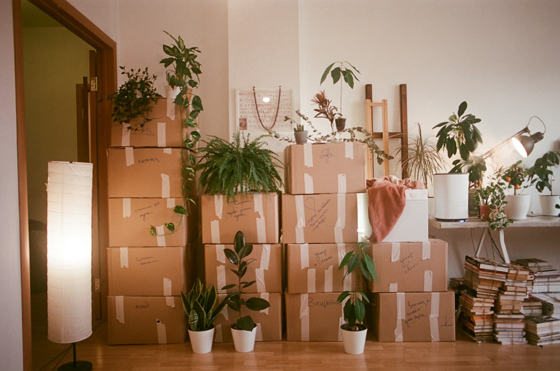 Moving boxes in an apartment